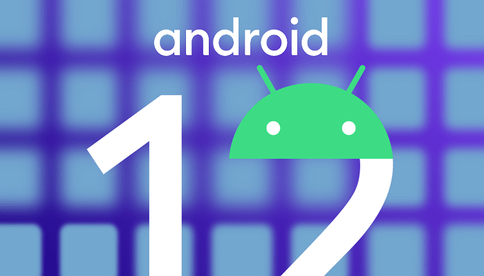 Google, Android 12, Beta 1, beta test, developer preview
